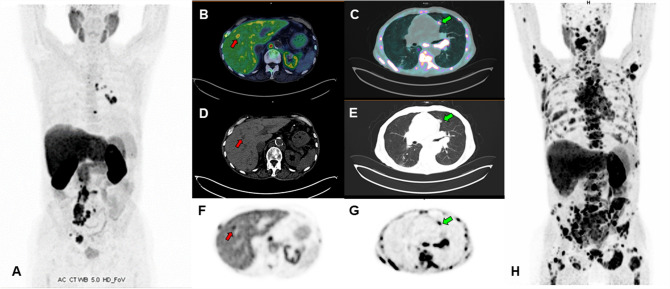 Fig. 7