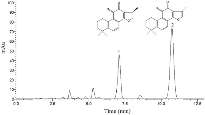 Fig. 1