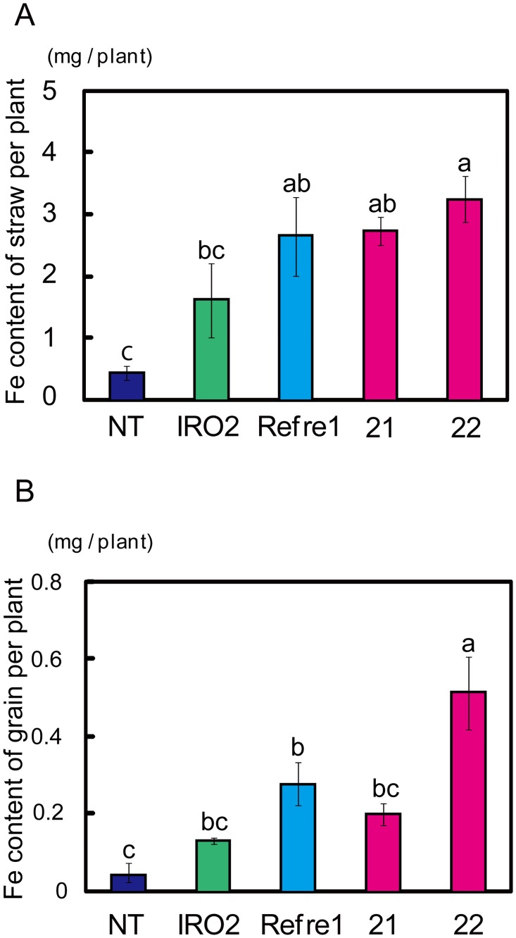 Fig 5