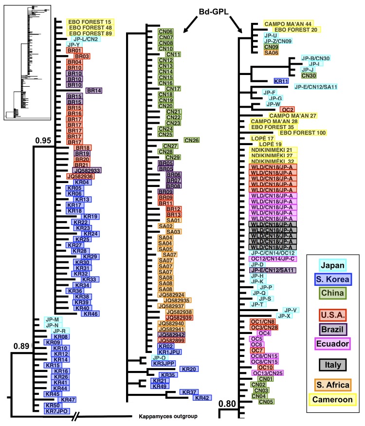 Fig 3