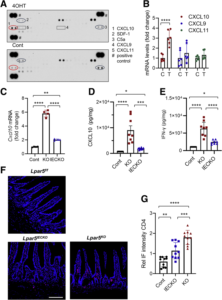 Figure 6