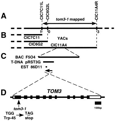 FIG. 2.