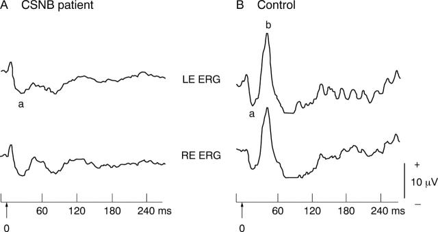 Figure 2  