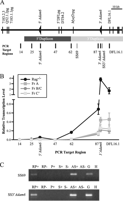 FIGURE 2.