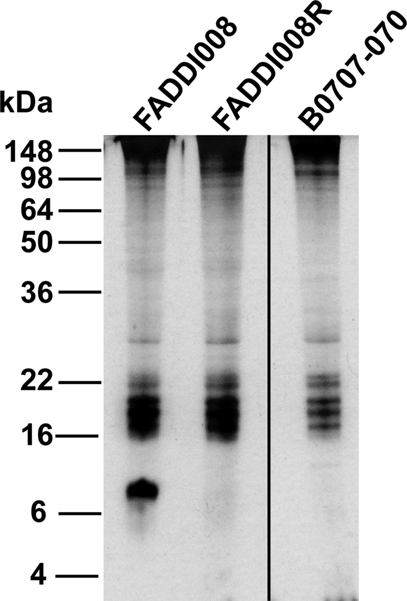 FIG. 4.