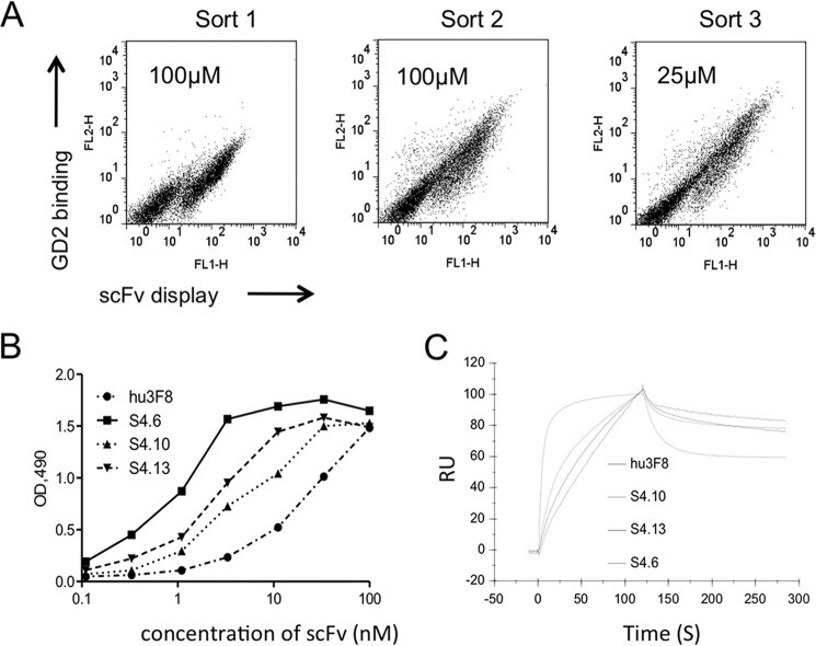 FIGURE 2.