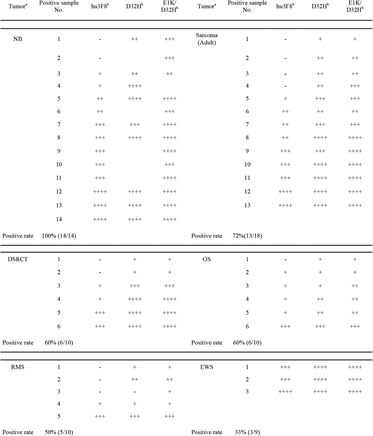 graphic file with name zbc025151712t004.jpg