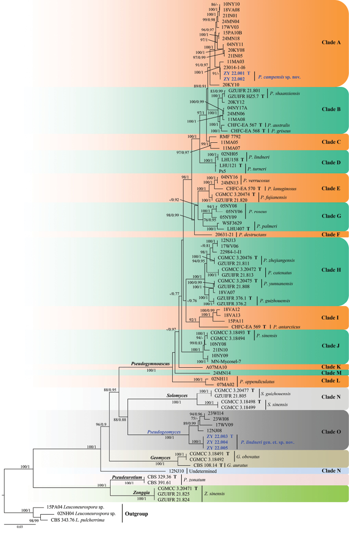 Figure 2.