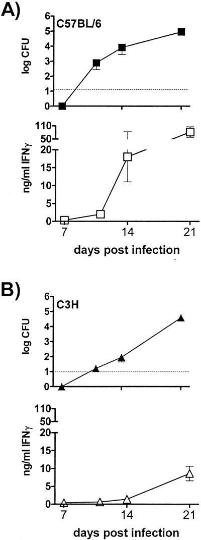 FIG. 3.