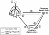 FIG. 7.