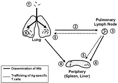 FIG. 7.