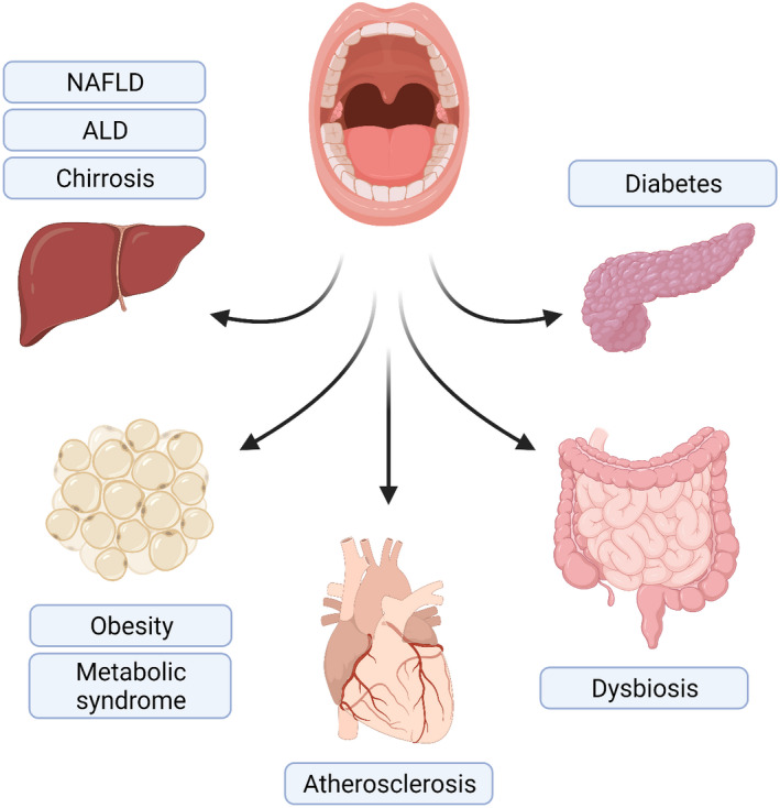 FIGURE 4