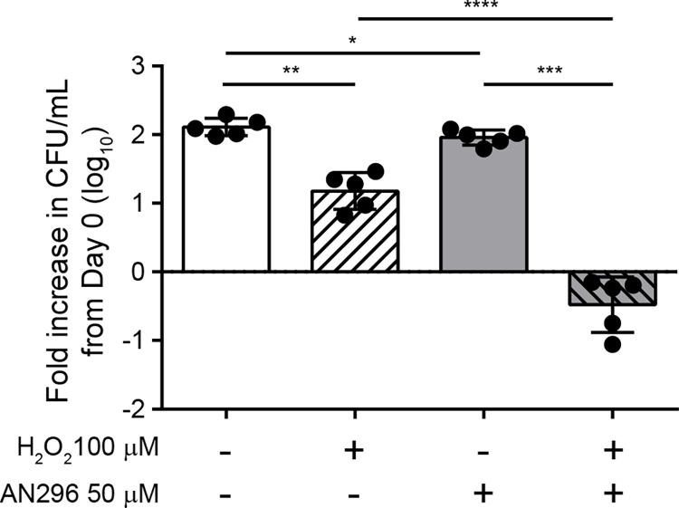 Fig 6