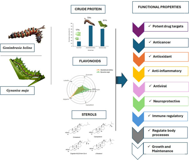 Image, graphical abstract