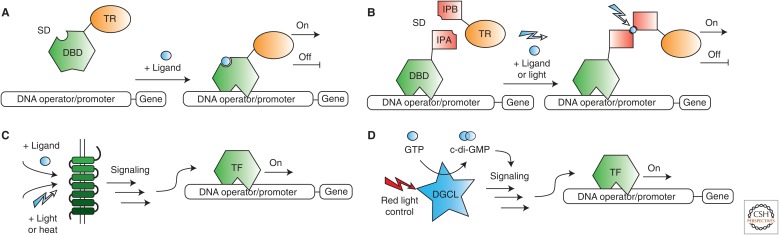 Figure 1.