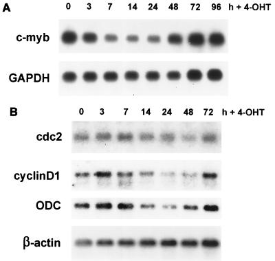 FIG. 9