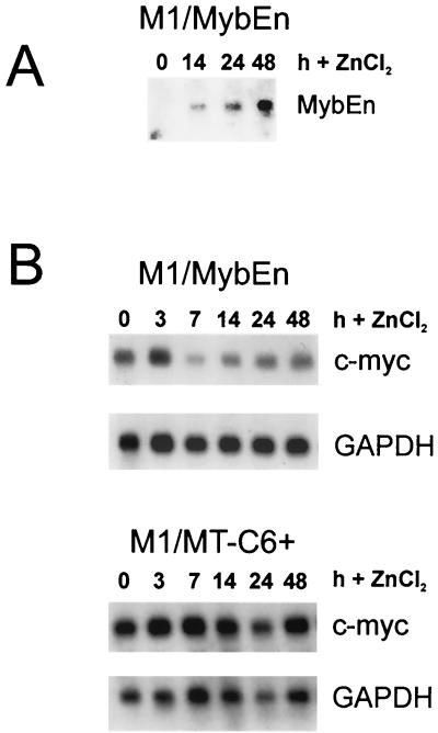 FIG. 8