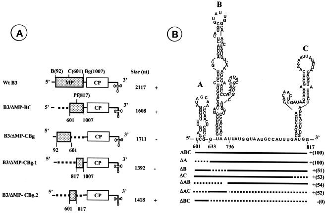 FIG. 2.