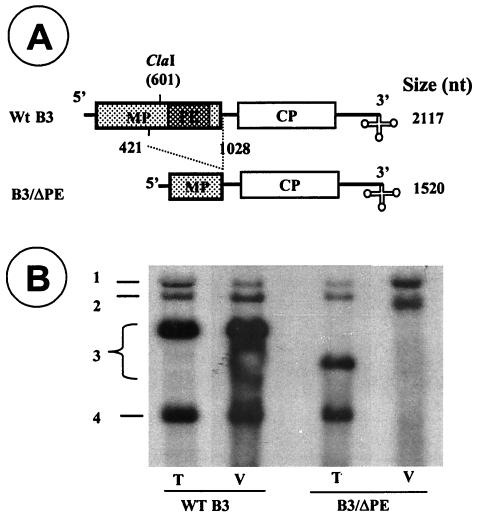 FIG. 5.