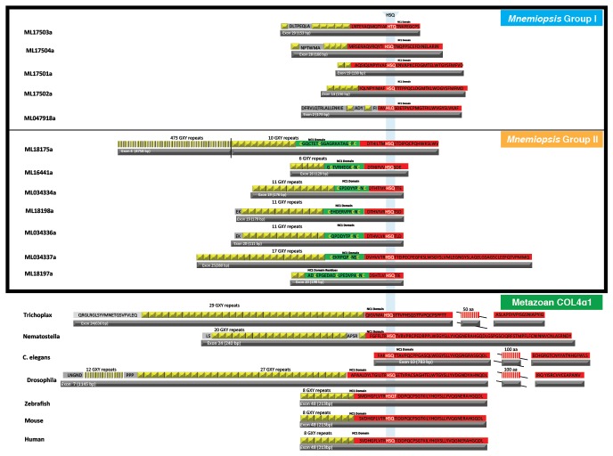 Figure 3—figure supplement 2.