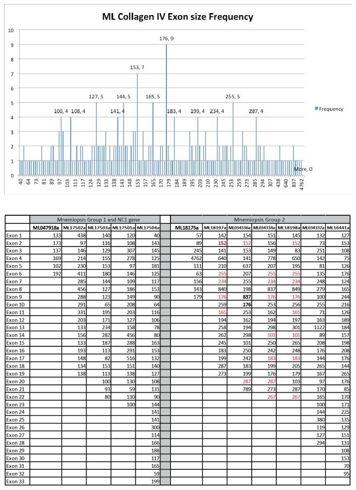 Figure 3—figure supplement 1.