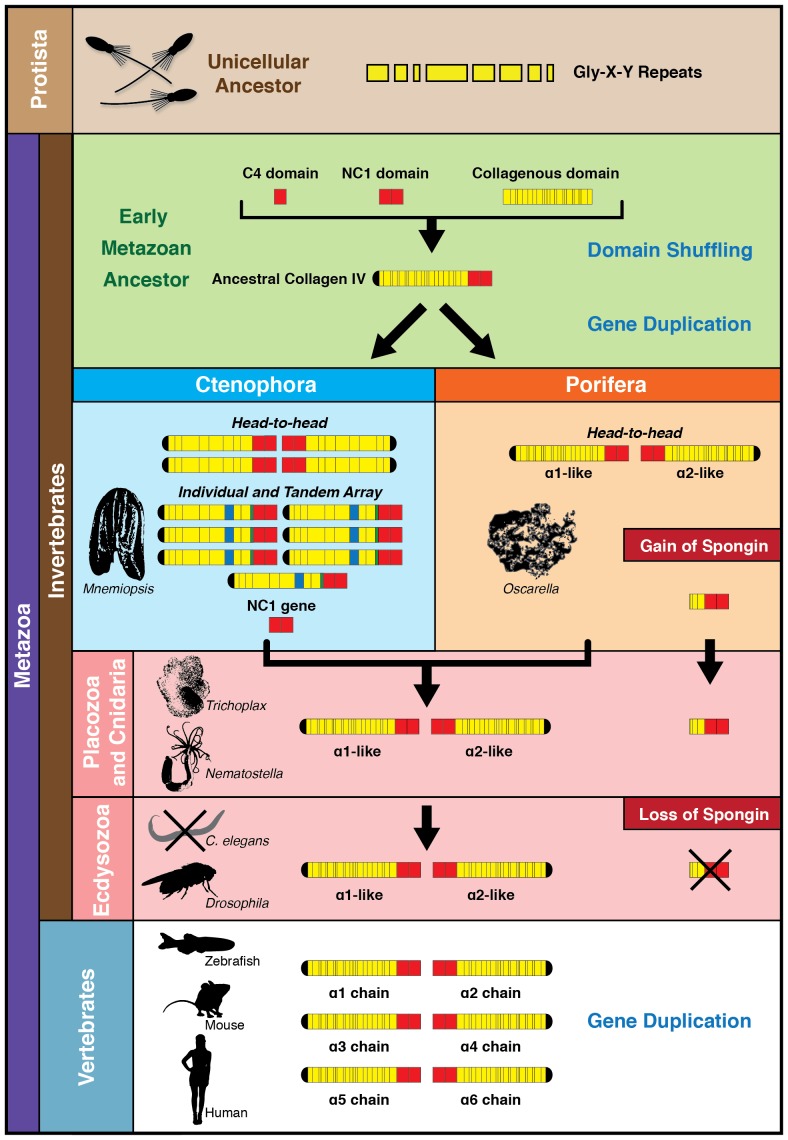 Figure 11.