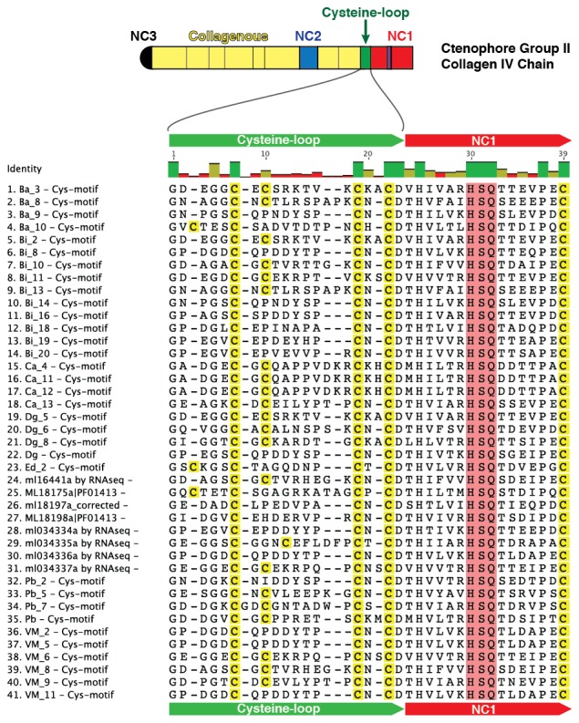 Figure 5—figure supplement 6.