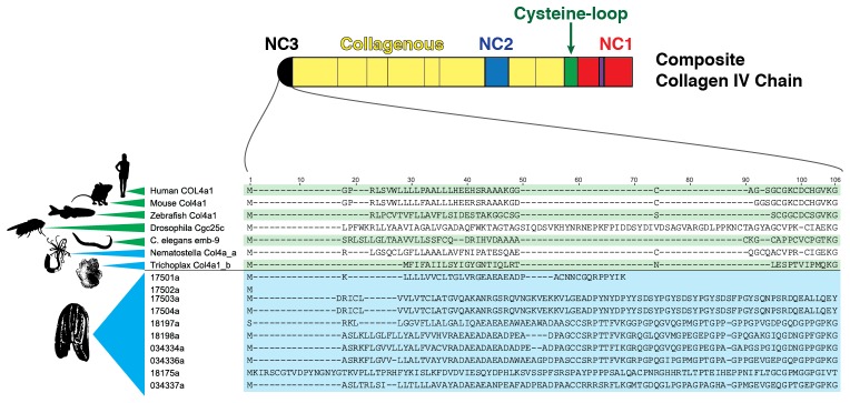 Figure 5—figure supplement 1.