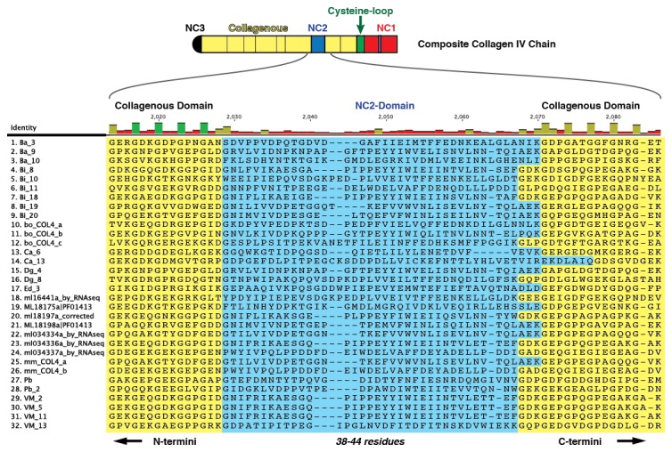 Figure 5—figure supplement 5.