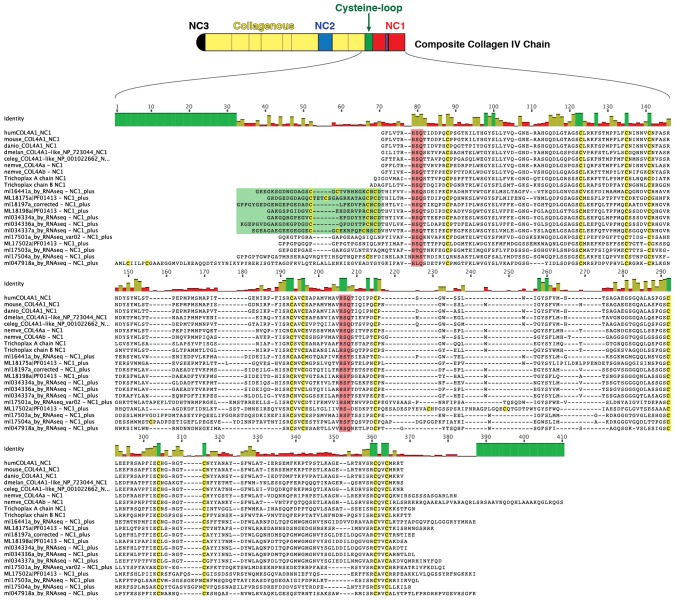 Figure 5—figure supplement 2.