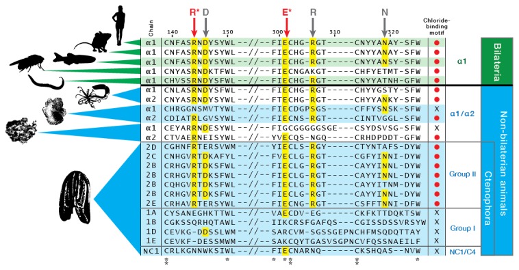 Figure 5—figure supplement 3.