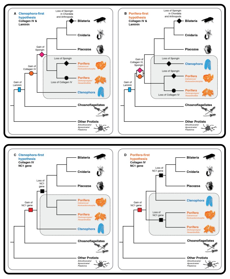 Figure 10.