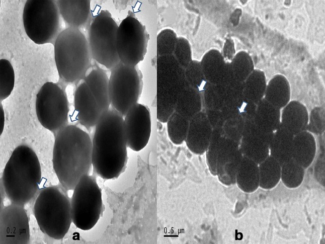 Fig. 8