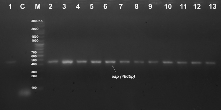 Fig. 6