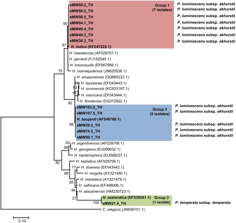 FIGURE 2