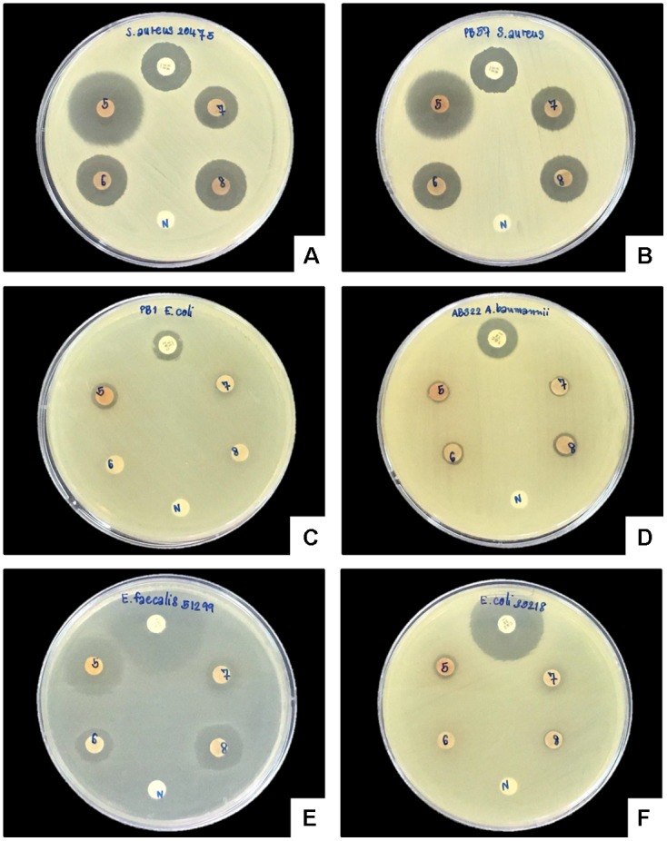 FIGURE 6