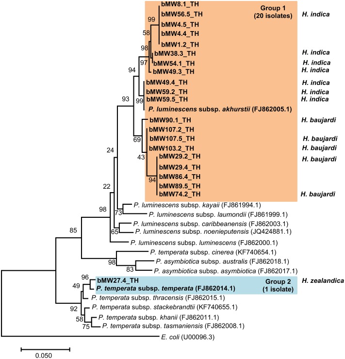 FIGURE 4