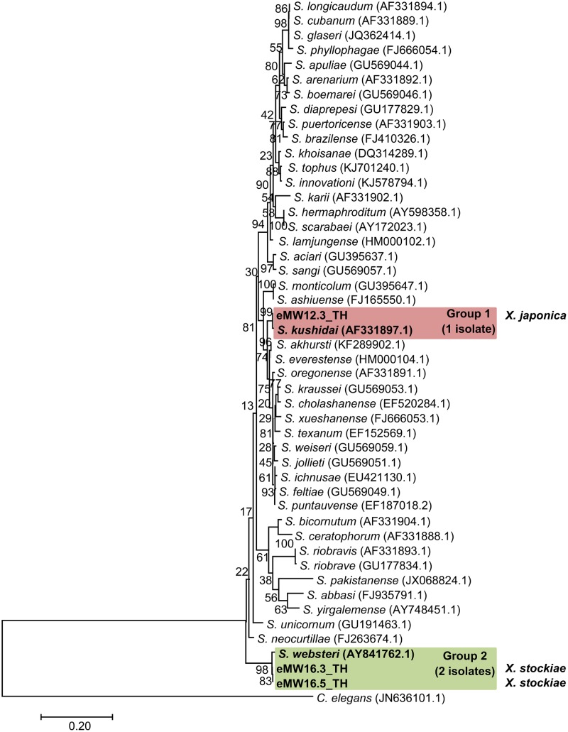 FIGURE 3