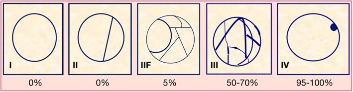 Fig. 14
