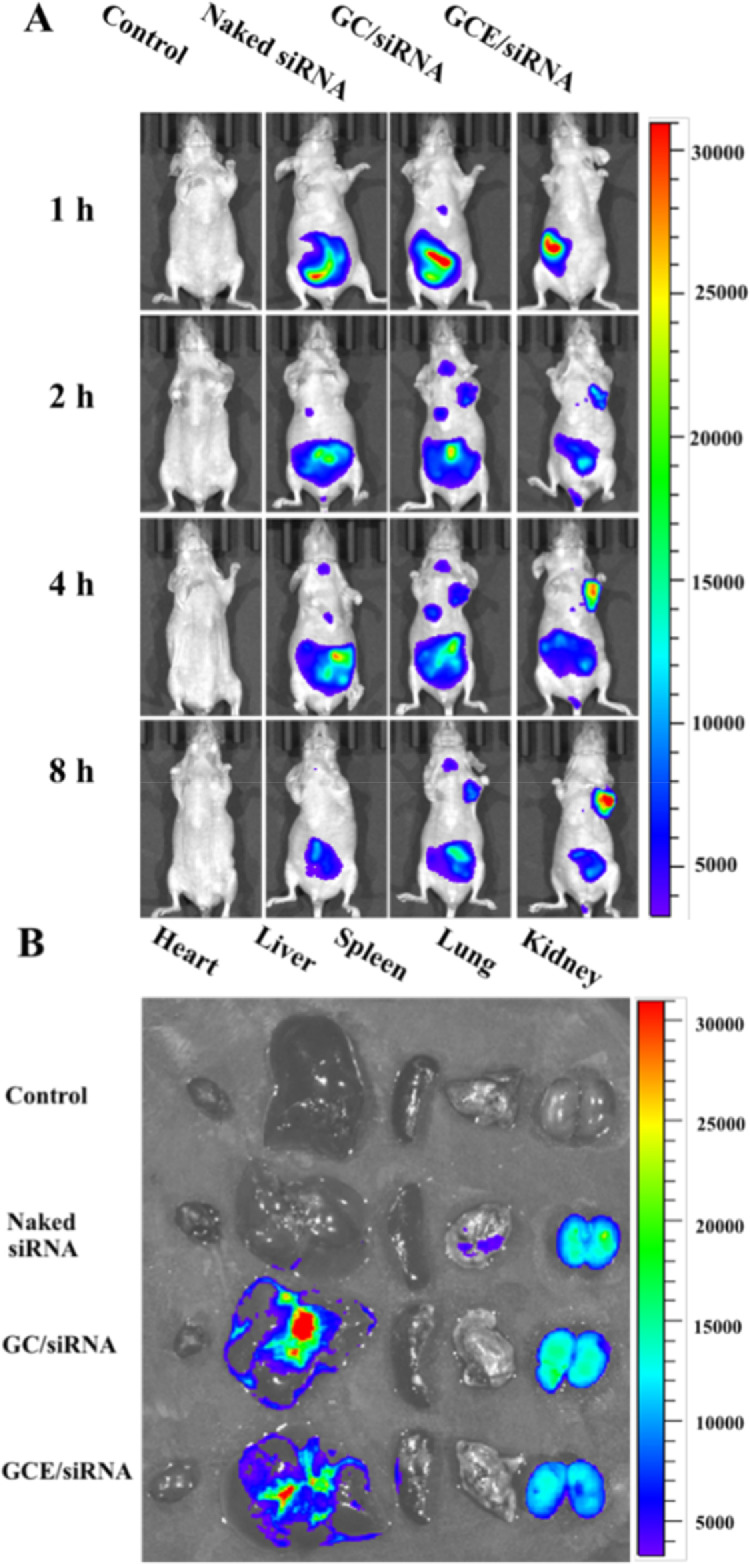 Fig 6