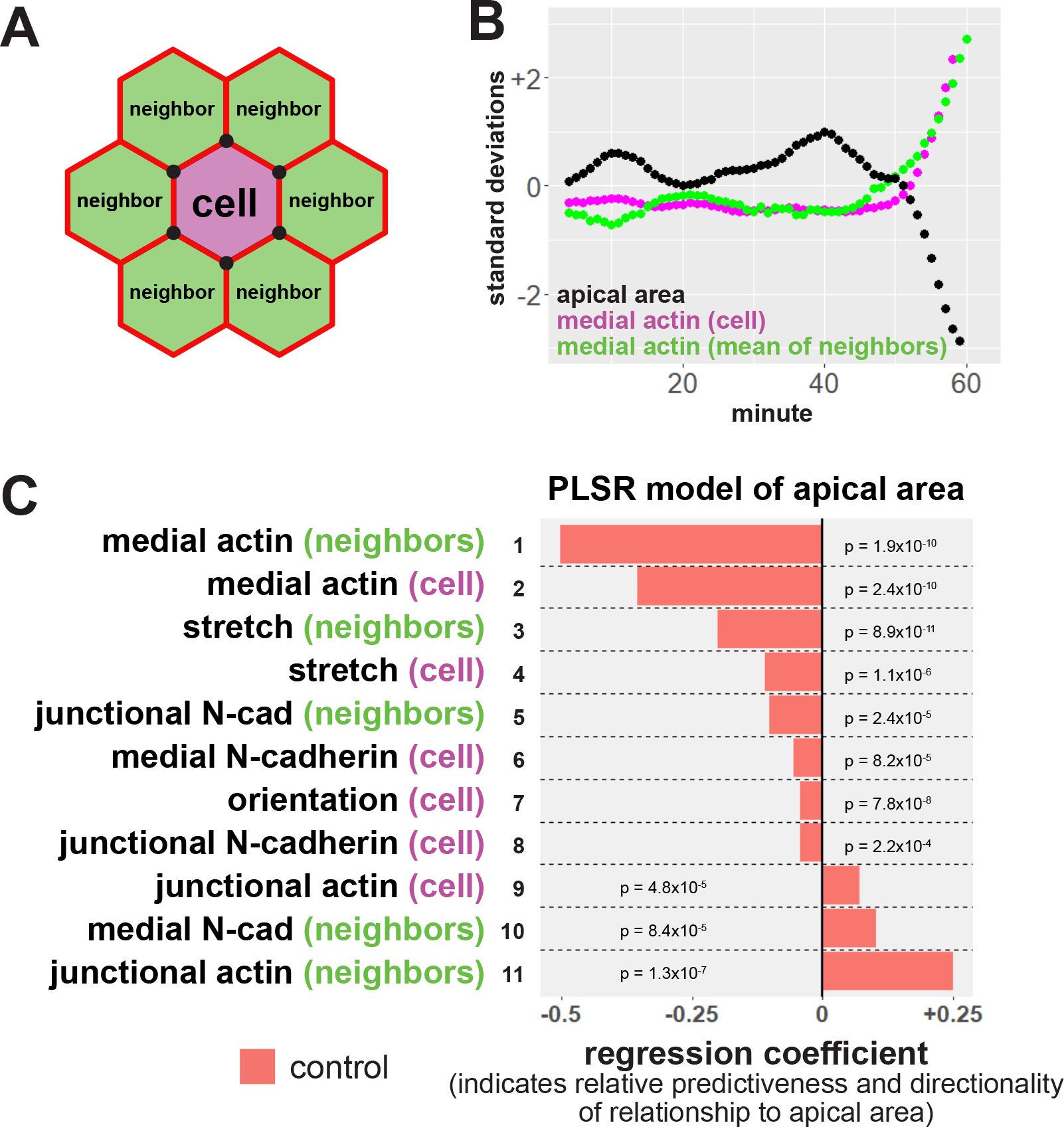 Figure 2: