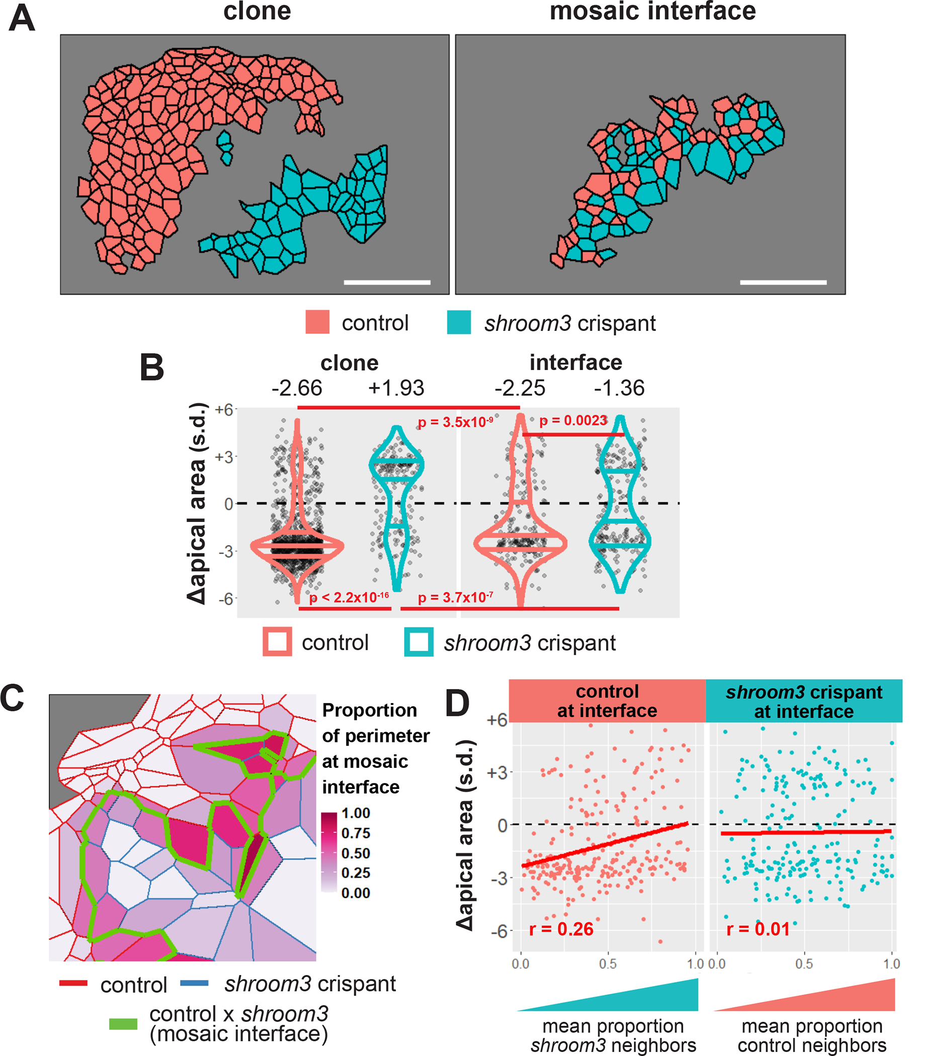 Figure 4: