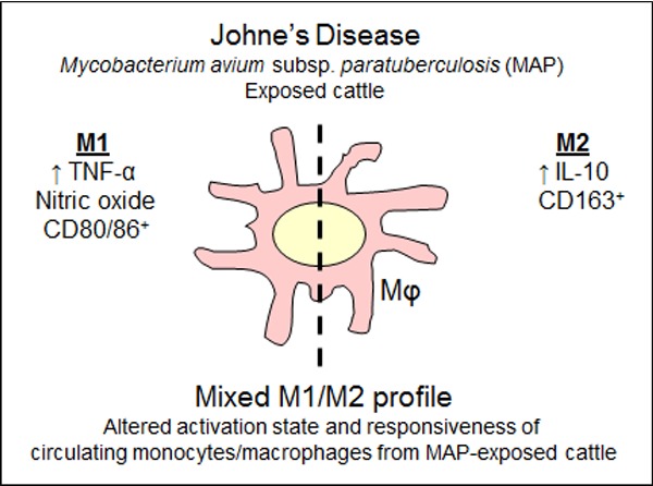 Graphical Abstract Figure.