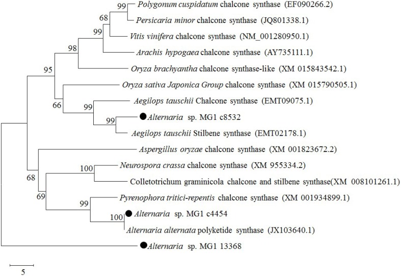 Figure 6