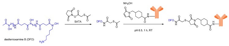 Scheme 2