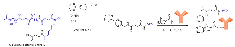 Scheme 4