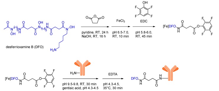 Scheme 5