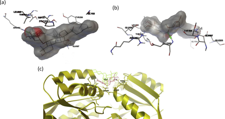 Figure 3