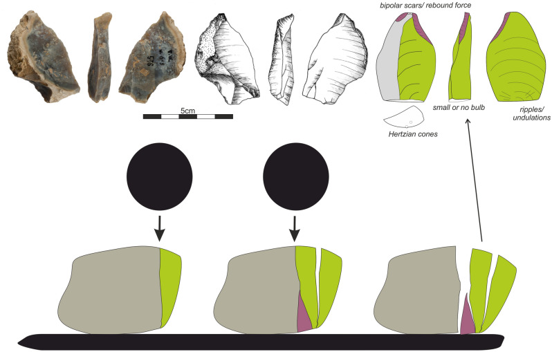 Figure 7