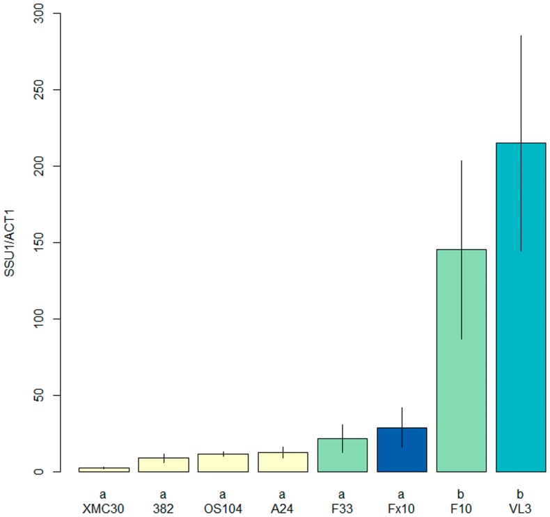 Figure 5